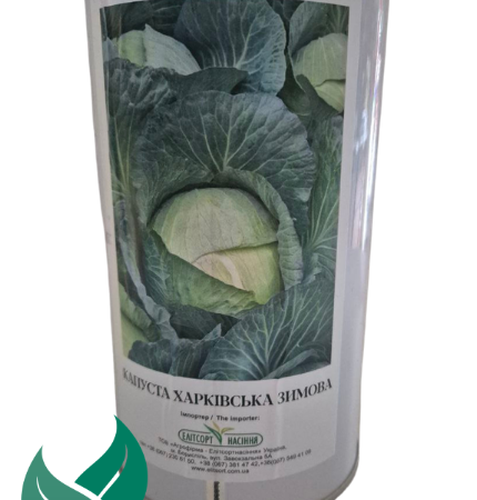 Капуста Харківська зимова